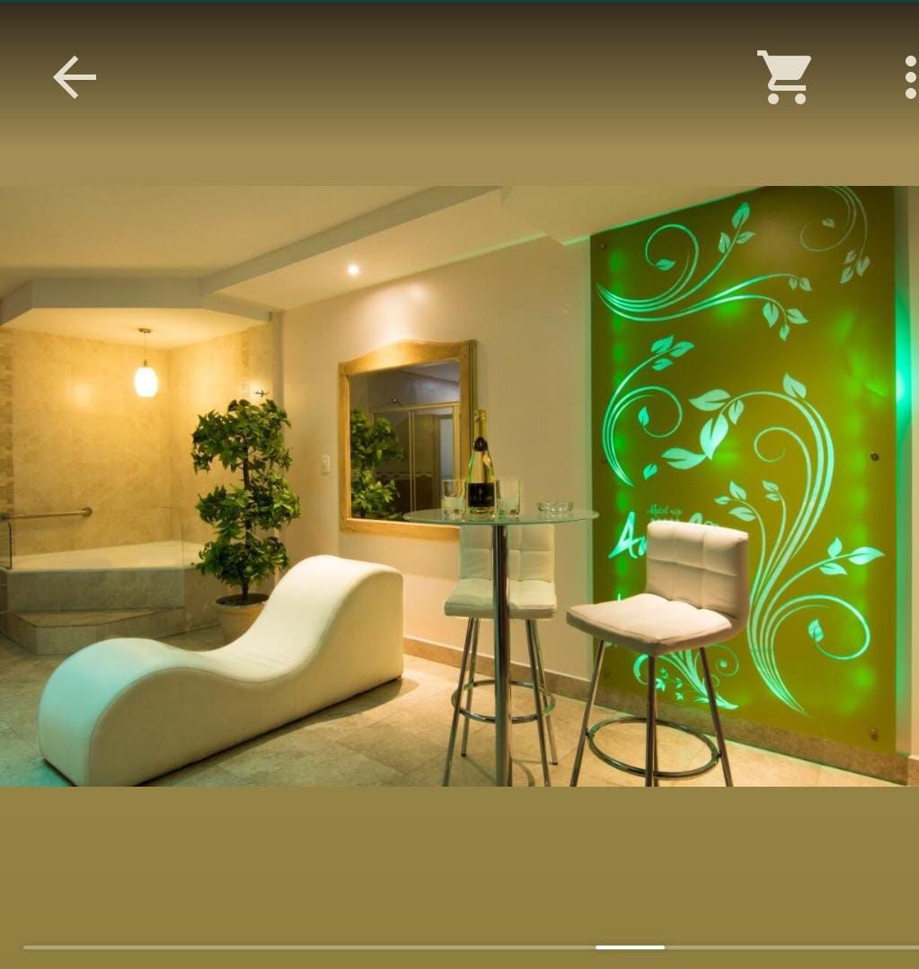 Sillon Kamasutra en Motel Amelie VIP 2